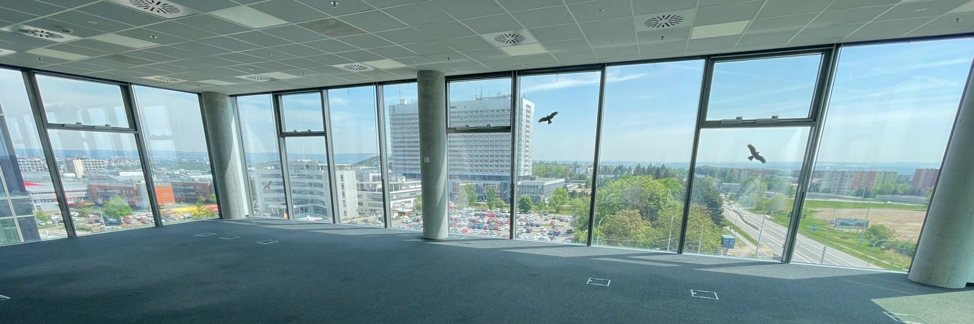 Pronájem kanceláří 1 363 m², Palachovo náměstí, Brno