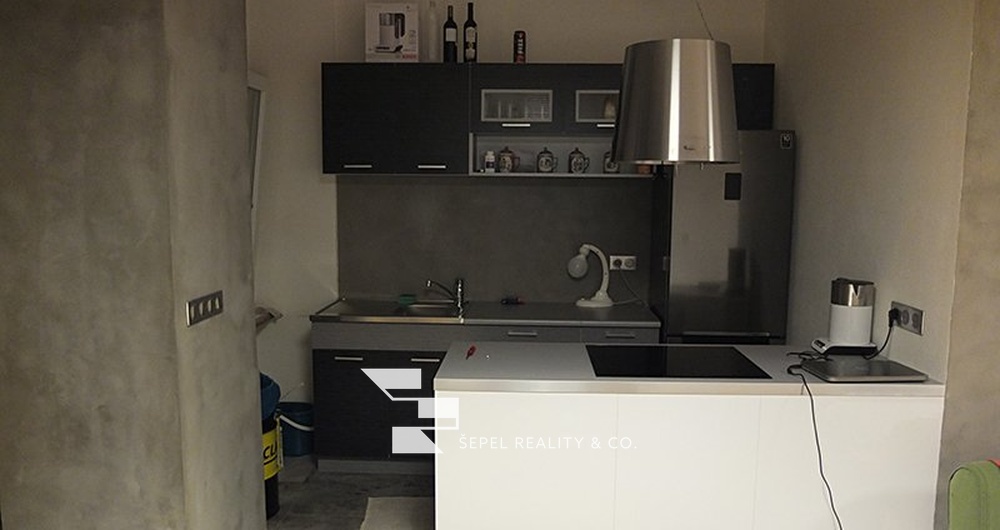 Pronájem atypického bytu 1+kk po rekonstrukci 47m² - Brno - Veveří