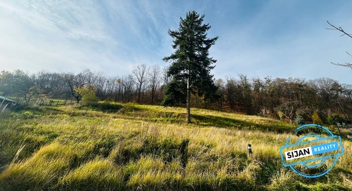 IMG-20251113-WA0011(1)