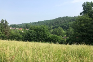 Prodej pozemku v Plesné