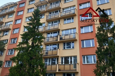 Pronájem dr. bytu 1+1, 42 m² - ul. Centrum, Karviná - Mizerov, Ev.č.: 12463