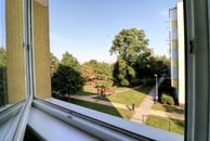 idlochovice - okolí z okna