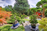 5 Prodej RD Brno Komín japonská zahrada