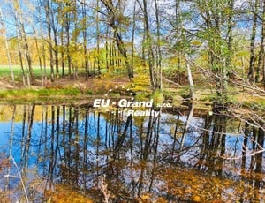 Prodej pozemku s rybníkem ve Velkém Šenově