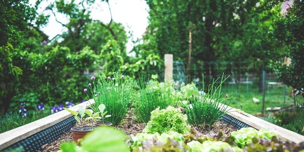 CLEANING, GARDENING AND OTHER SERVICES